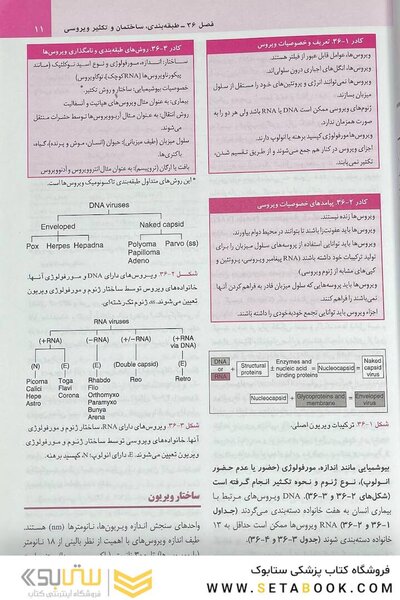 میکروب شناسی پزشکی مورای 2021 ویروس شناسی