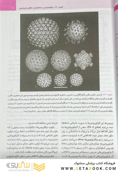 میکروب شناسی پزشکی مورای 2021 ویروس شناسی