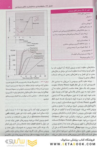 میکروب شناسی پزشکی مورای 2021 ویروس شناسی