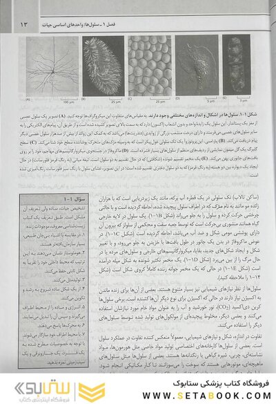 مبانی زیست شناسی سلولی آلبرتس 2019