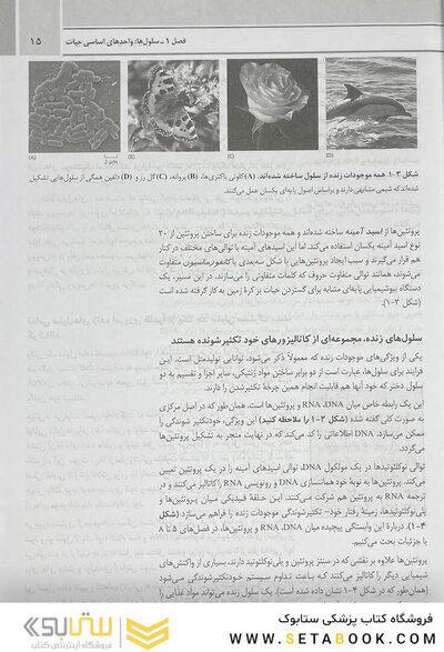 مبانی زیست شناسی سلولی آلبرتس 2019