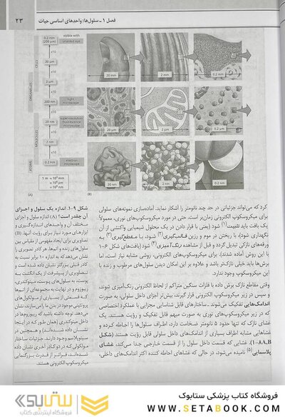 مبانی زیست شناسی سلولی آلبرتس 2019