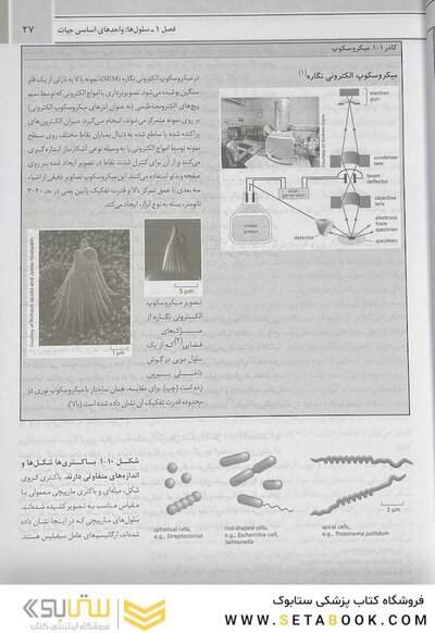 مبانی زیست شناسی سلولی آلبرتس 2019