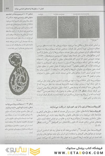 مبانی زیست شناسی سلولی آلبرتس 2019