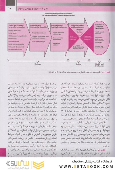 رشد تکامل و رفتار نلسون 2020