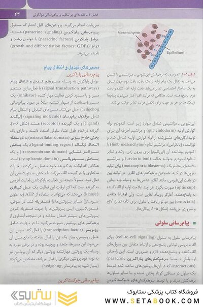 جنین شناسی پزشکی لانگمن 2019