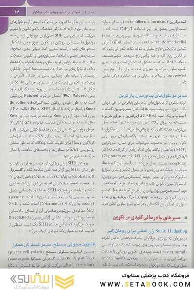 جنین شناسی پزشکی لانگمن 2019