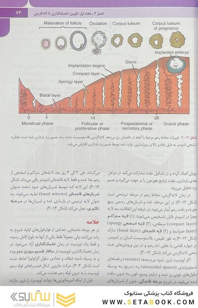جنین شناسی پزشکی لانگمن 2019