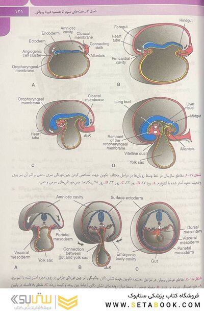 جنین شناسی پزشکی لانگمن 2019