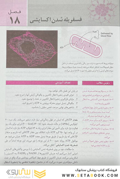 بیوشیمی استرایر 2019 جلد دوم