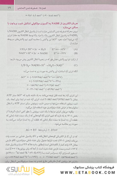 بیوشیمی استرایر 2019 جلد دوم