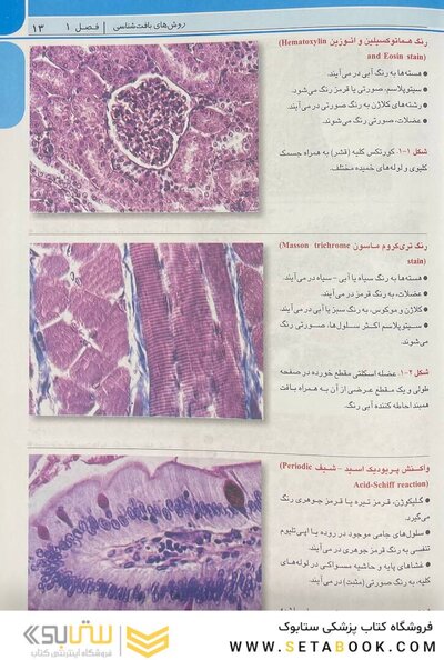 اطلس جامع بافت شناسی پزشکی دیفیوره