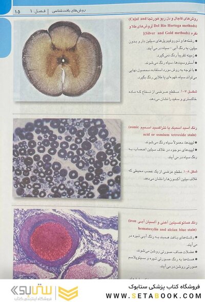 اطلس جامع بافت شناسی پزشکی دیفیوره