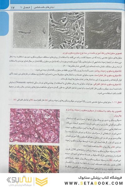 اطلس جامع بافت شناسی پزشکی دیفیوره