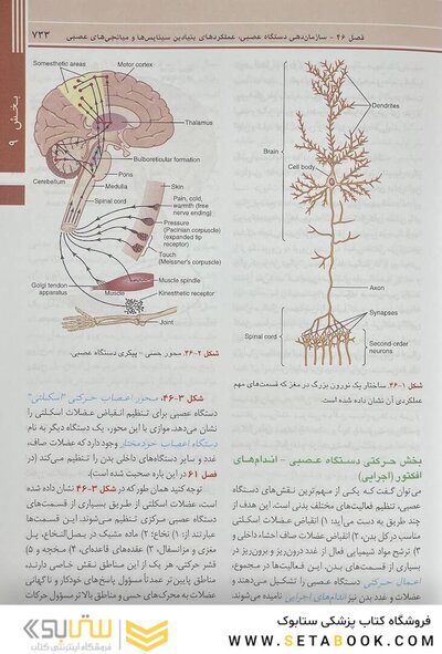 فیزیولوژی پزشکی گایتون و هال 2021 جلد2 هارد