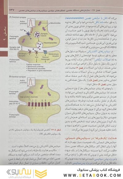 فیزیولوژی پزشکی گایتون و هال 2021 جلد2 هارد