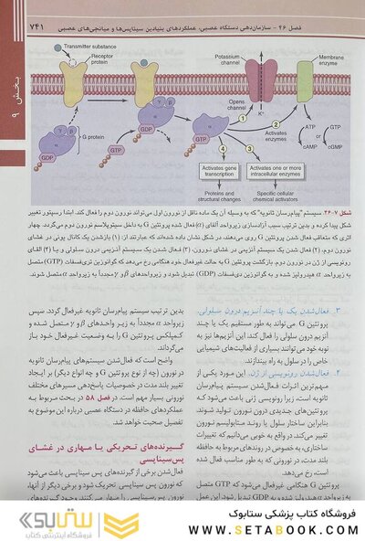 فیزیولوژی پزشکی گایتون و هال 2021 جلد2 هارد