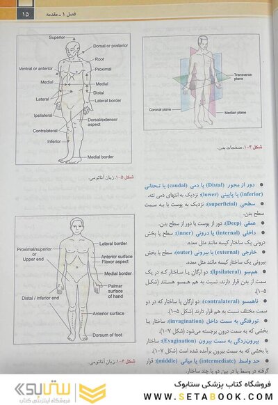 آناتومی عمومی شیرازی