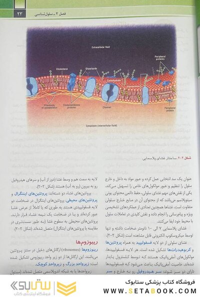 آناتومی عمومی شیرازی