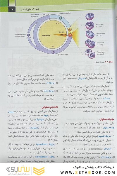 آناتومی عمومی شیرازی