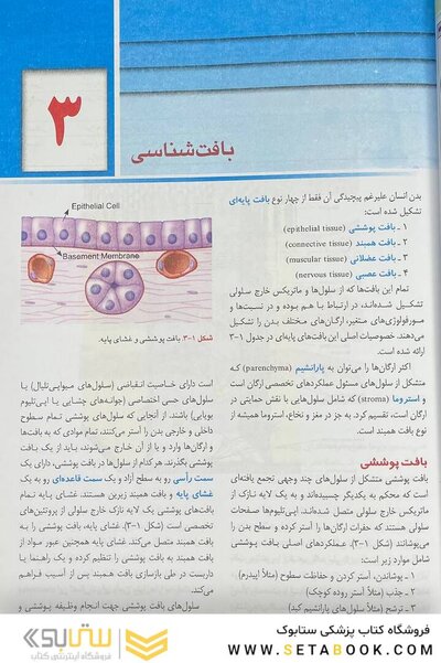 آناتومی عمومی شیرازی