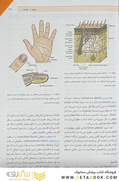 آناتومی بالینی اسنل تنه 2019