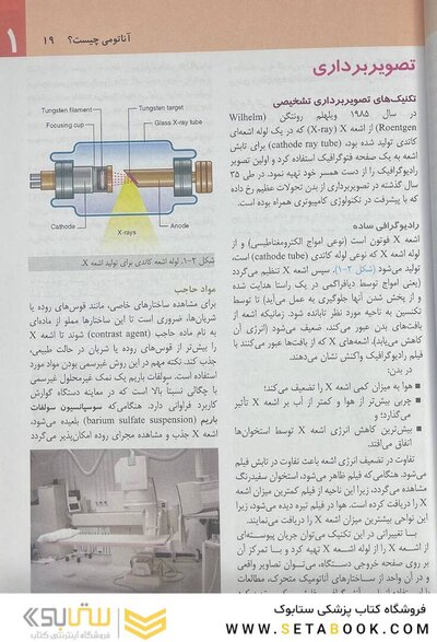 آناتومی گری برای دانشجویان تنه (جلد 1) 2020