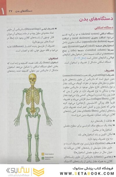 آناتومی گری برای دانشجویان تنه (جلد 1) 2020