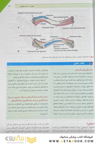 آناتومی بالینی اسنل 2019  اندام