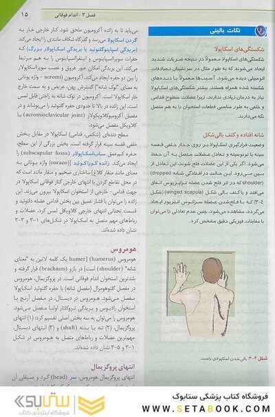 آناتومی بالینی اسنل 2019  اندام