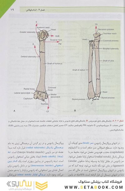 آناتومی بالینی اسنل 2019  اندام