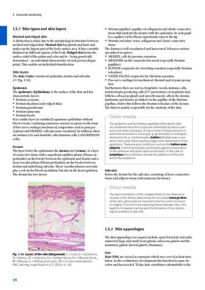 Sobotta Anatomy Textbook
