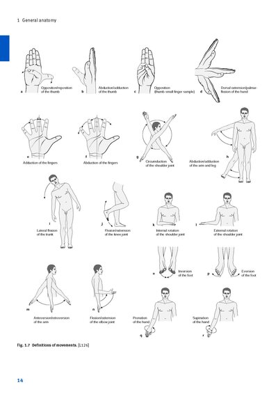 Sobotta Anatomy Textbook