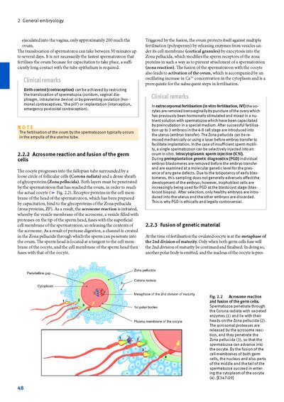 Sobotta Anatomy Textbook