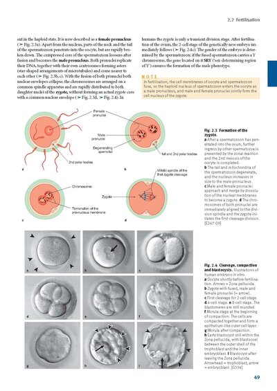 Sobotta Anatomy Textbook