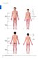 Sobotta Anatomy Textbook