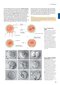 Sobotta Anatomy Textbook