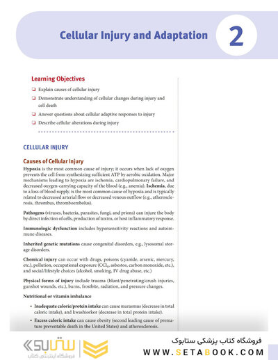 USMLE Step 1 Lecture Notes 2022: 7-Book Set