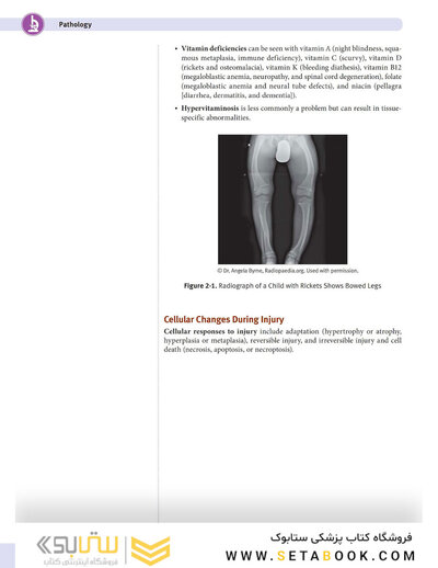 USMLE Step 1 Lecture Notes 2022: 7-Book Set