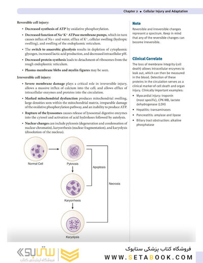 USMLE Step 1 Lecture Notes 2022: 7-Book Set
