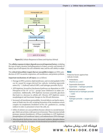 USMLE Step 1 Lecture Notes 2022: 7-Book Set