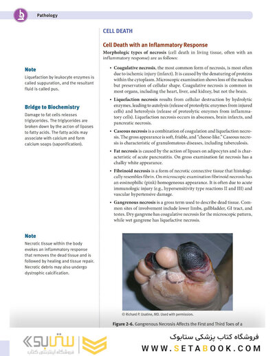 USMLE Step 1 Lecture Notes 2022: 7-Book Set