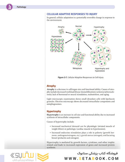 USMLE Step 1 Lecture Notes 2022: 7-Book Set