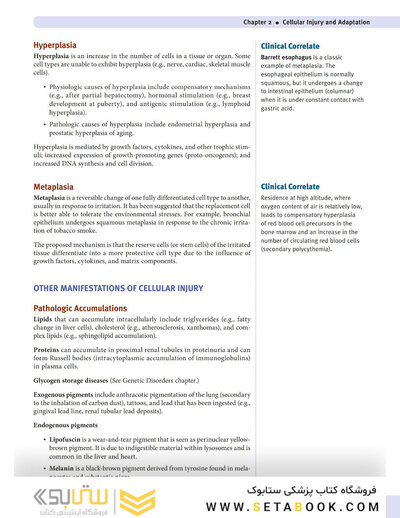 USMLE Step 1 Lecture Notes 2022: 7-Book Set