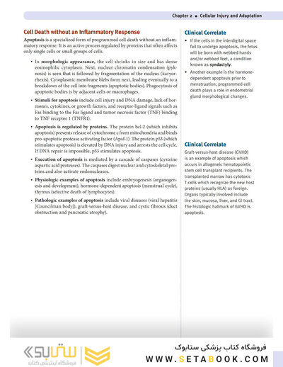 USMLE Step 1 Lecture Notes 2022: 7-Book Set