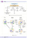USMLE Step 1 Lecture Notes 2022: 7-Book Set