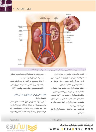 آنالیز ادرار و مدفوع