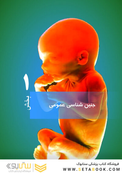 جنین شناسی لانگمن 2019 ویراست چهاردهم (رنگی)
