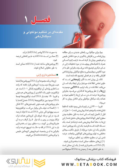 جنین شناسی لانگمن 2019 ویراست چهاردهم (رنگی)