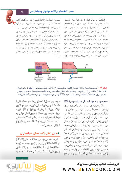 جنین شناسی لانگمن 2019 ویراست چهاردهم (رنگی)